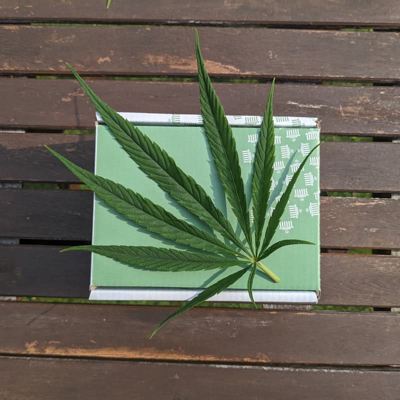 Professional CBD product packaging