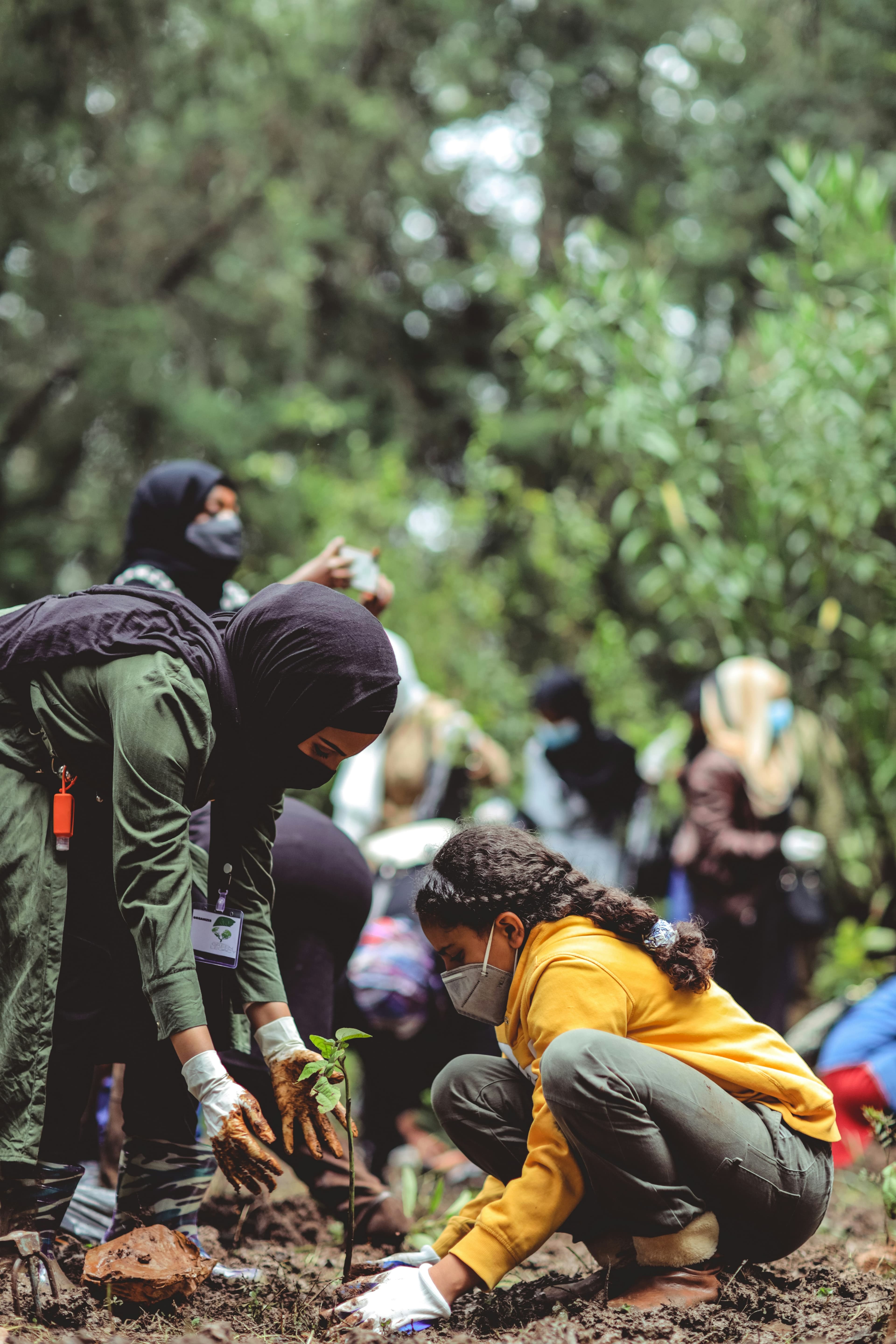 Community planting initiative